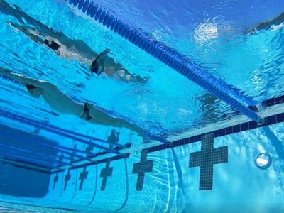 Improve your swim